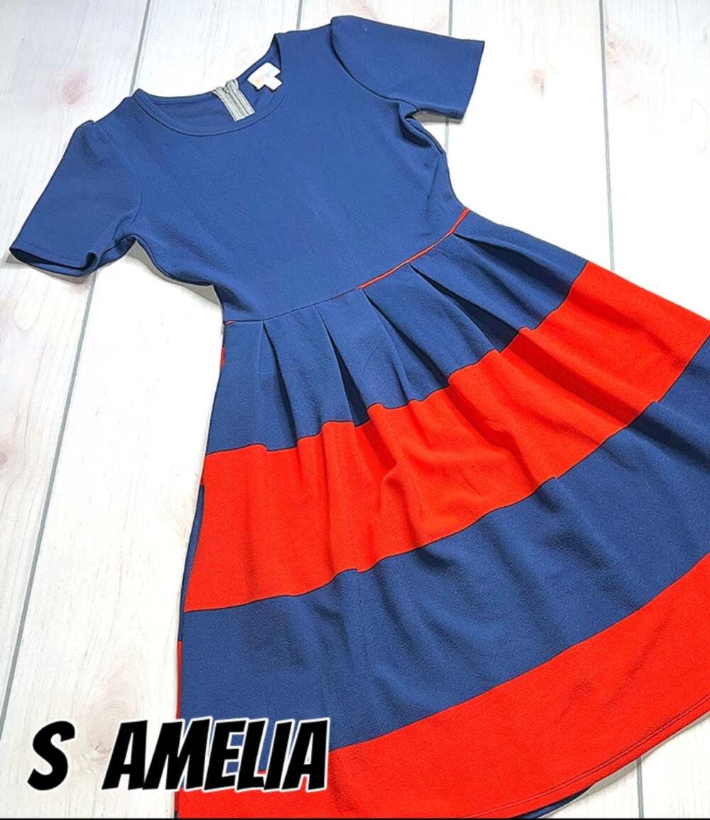 LuLaRoe Amelia Short Sleeve Pleated Fit and Flare Dress with Pockets, Size Small